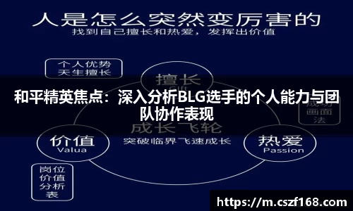 3377体育官网入口网页版