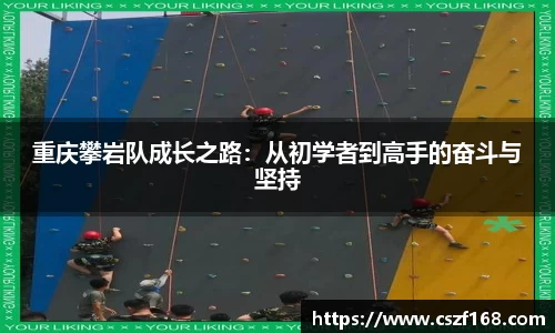 3377体育官网