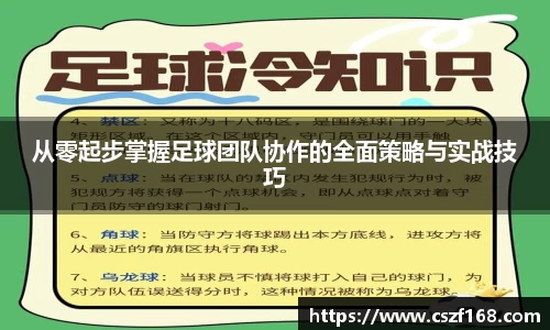 3377体育官网入口网页版