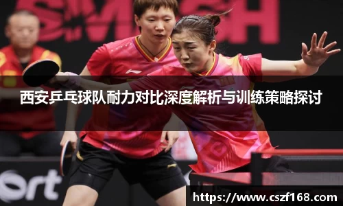 3377体育官网入口网页版