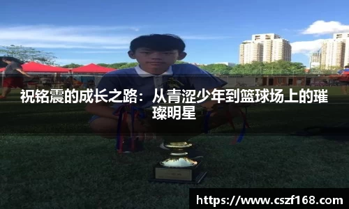3377体育官网入口网页版