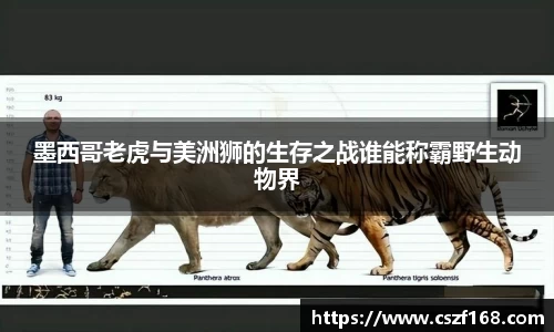 3377体育官网